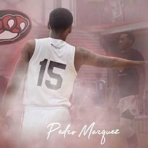 Meet your Posher, Pedro